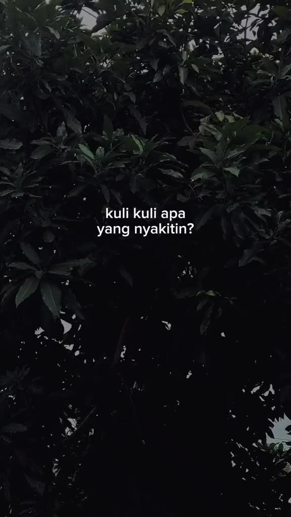 @valz creator