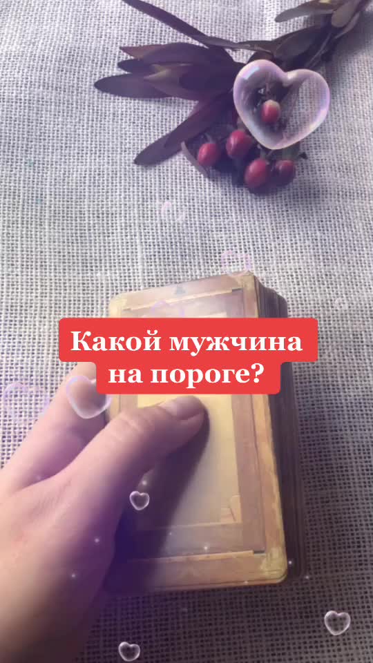 @tarolog__katrin_
