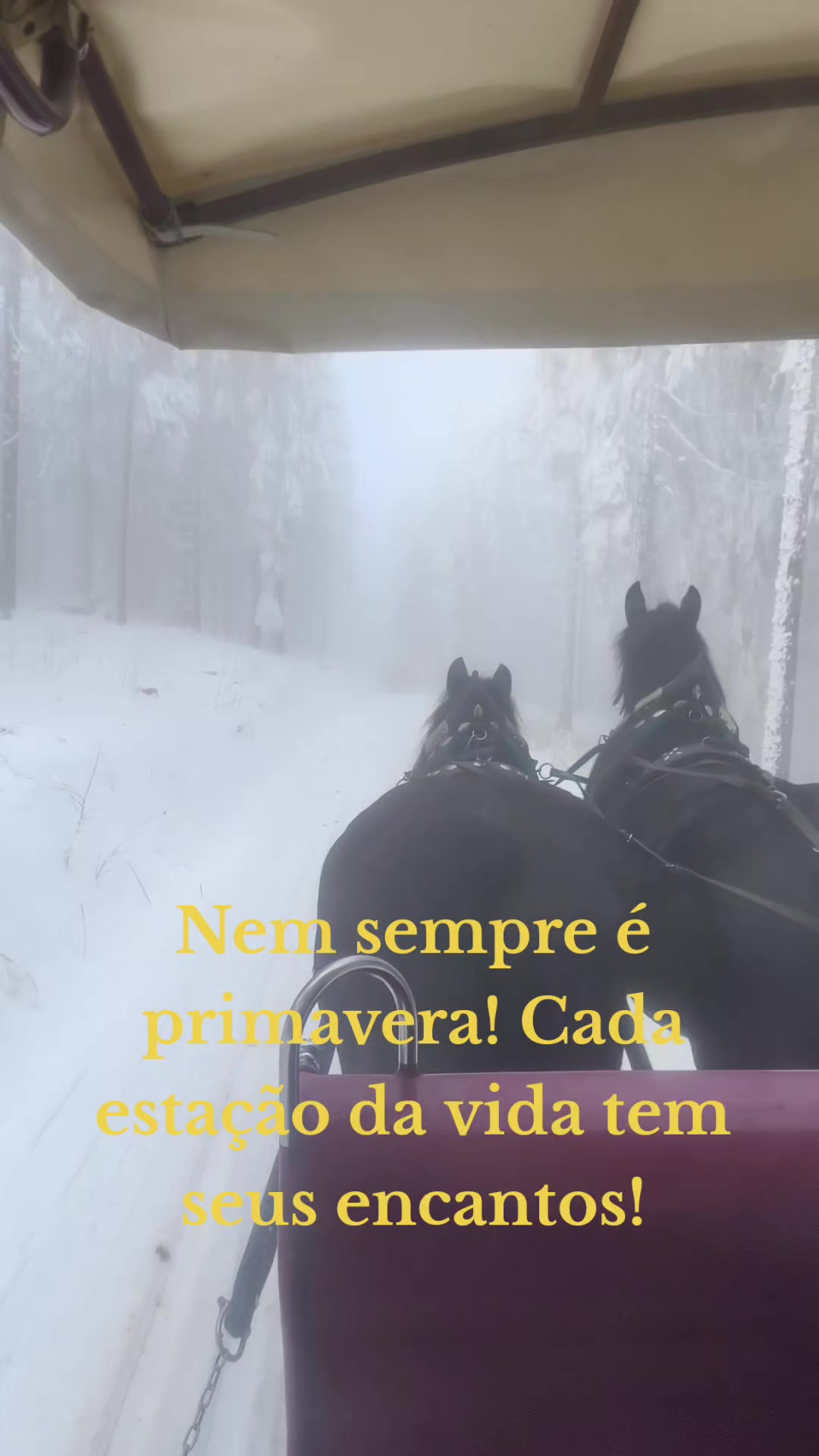 @Brasil 1500
