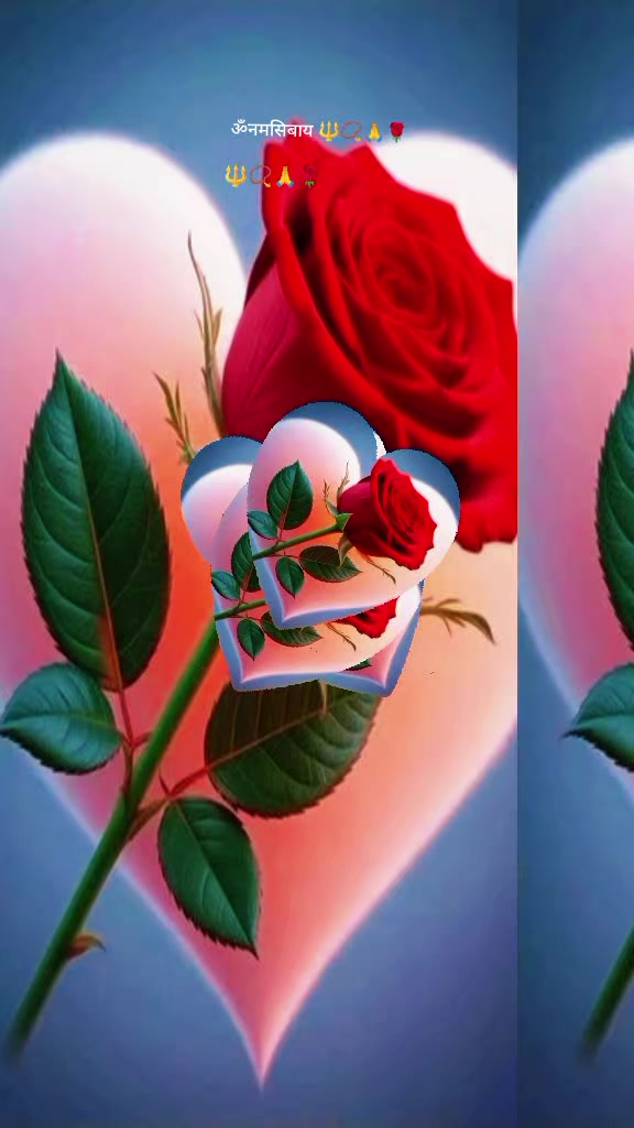 @dropati♥️🌹