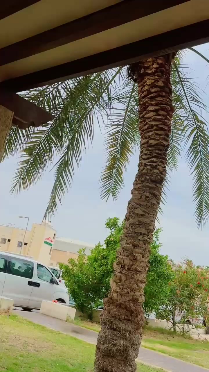 @Quŧab_Shahị_Åwan 🥷🚩