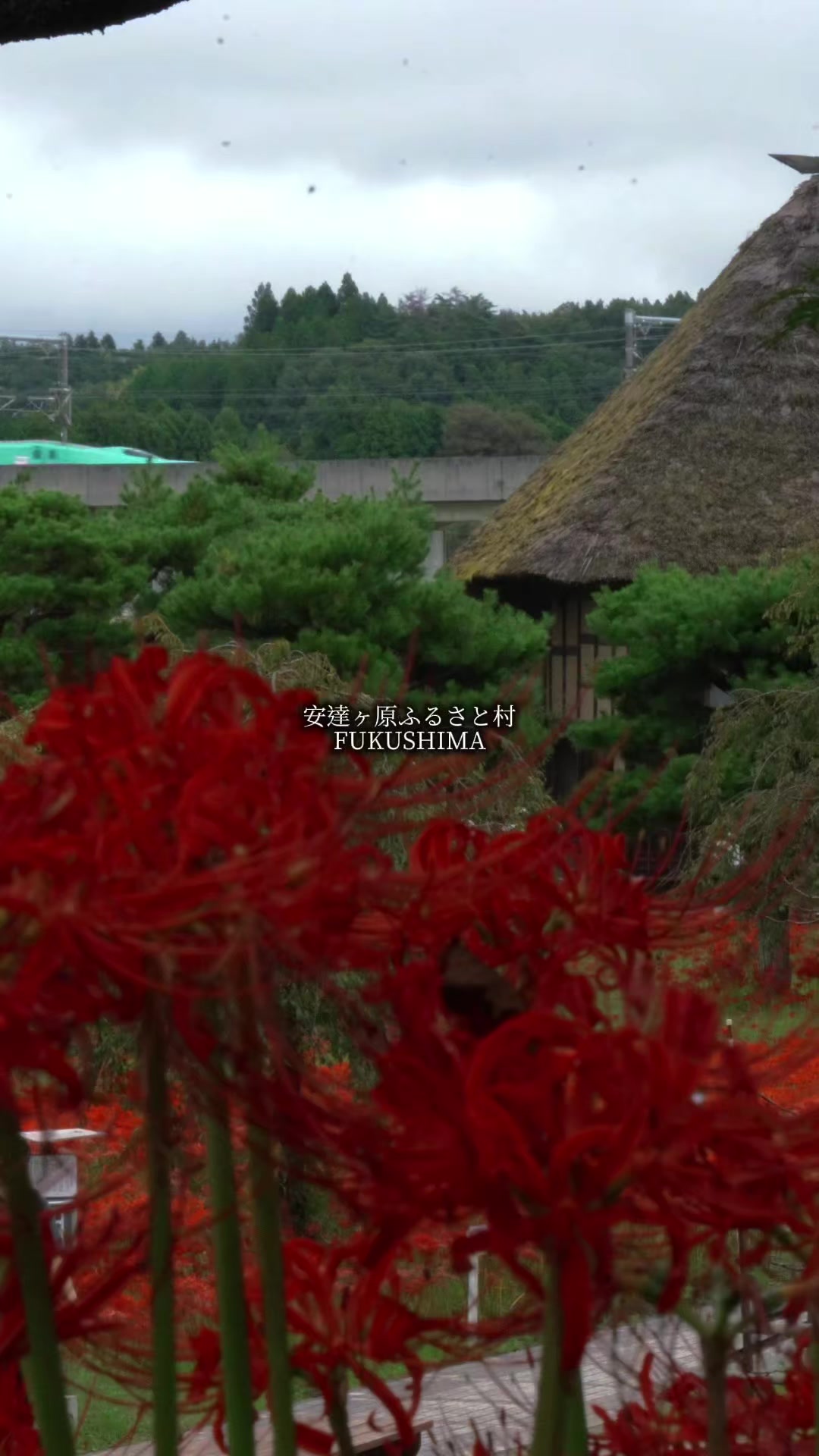 @tabi japan