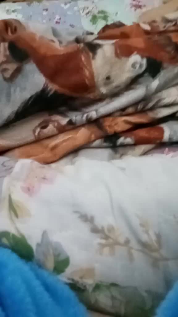@Husyay 🤖