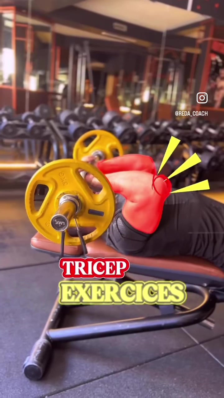 @Reda_coach