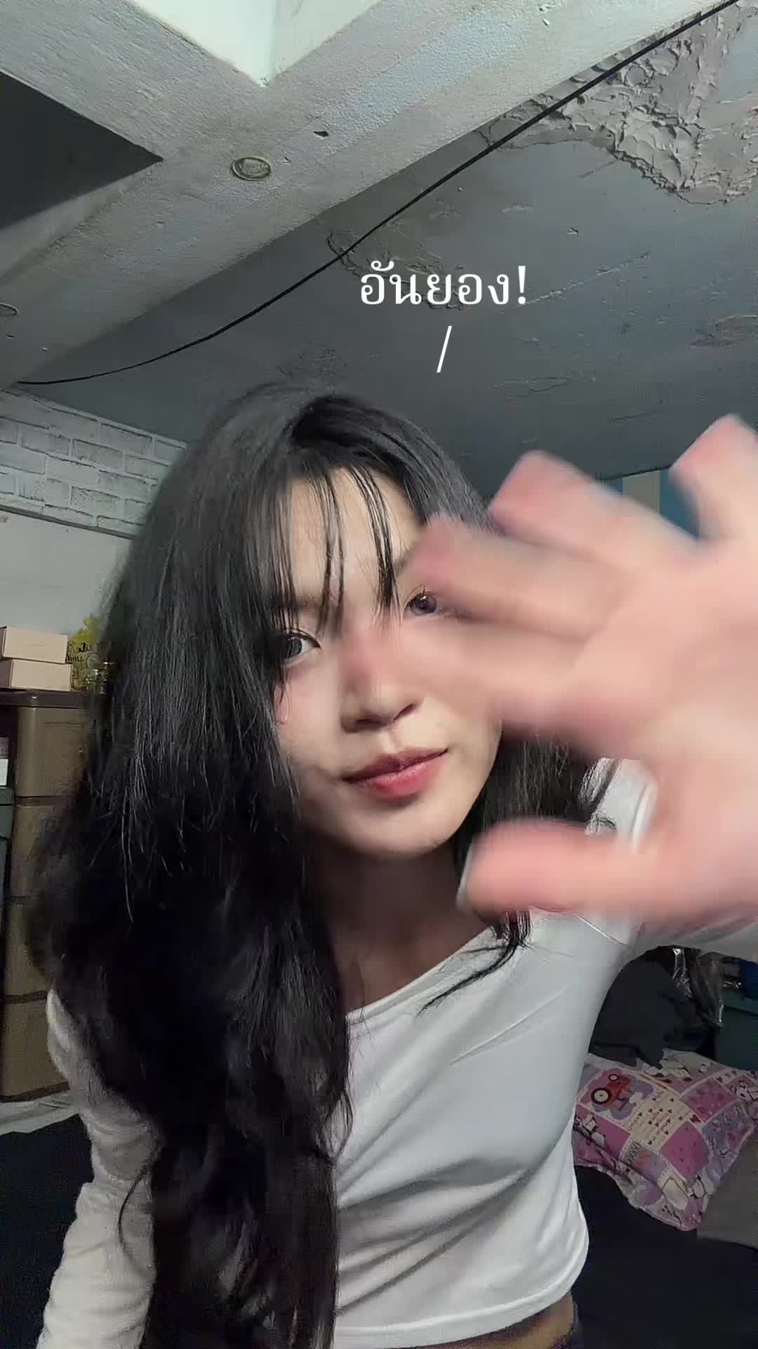 @เฟย์ฟี่