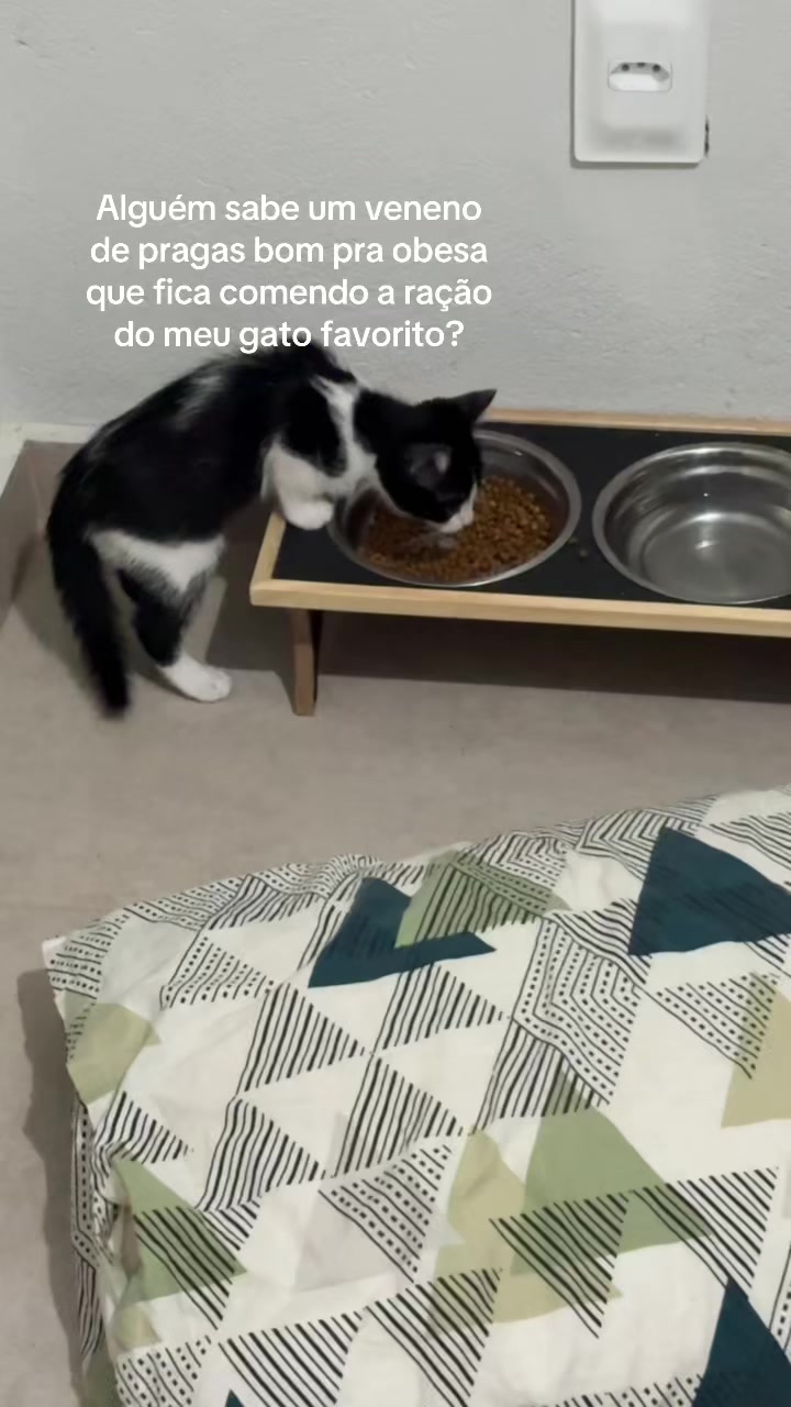 @sushasco