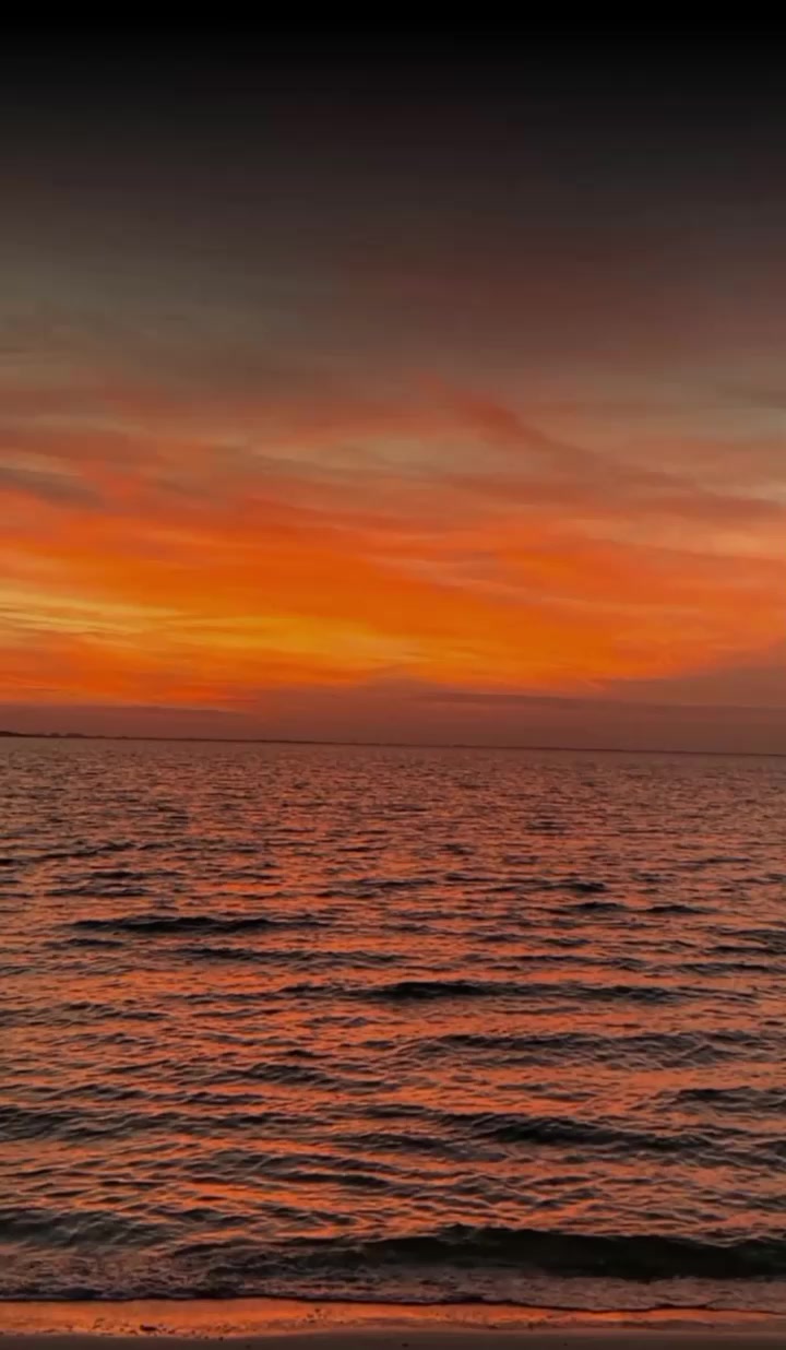 @V A I S H N A V I 🦢.