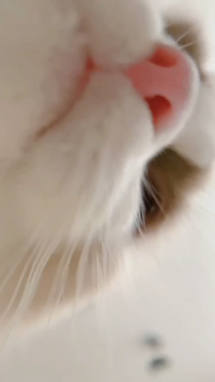 @Insta360 Japan