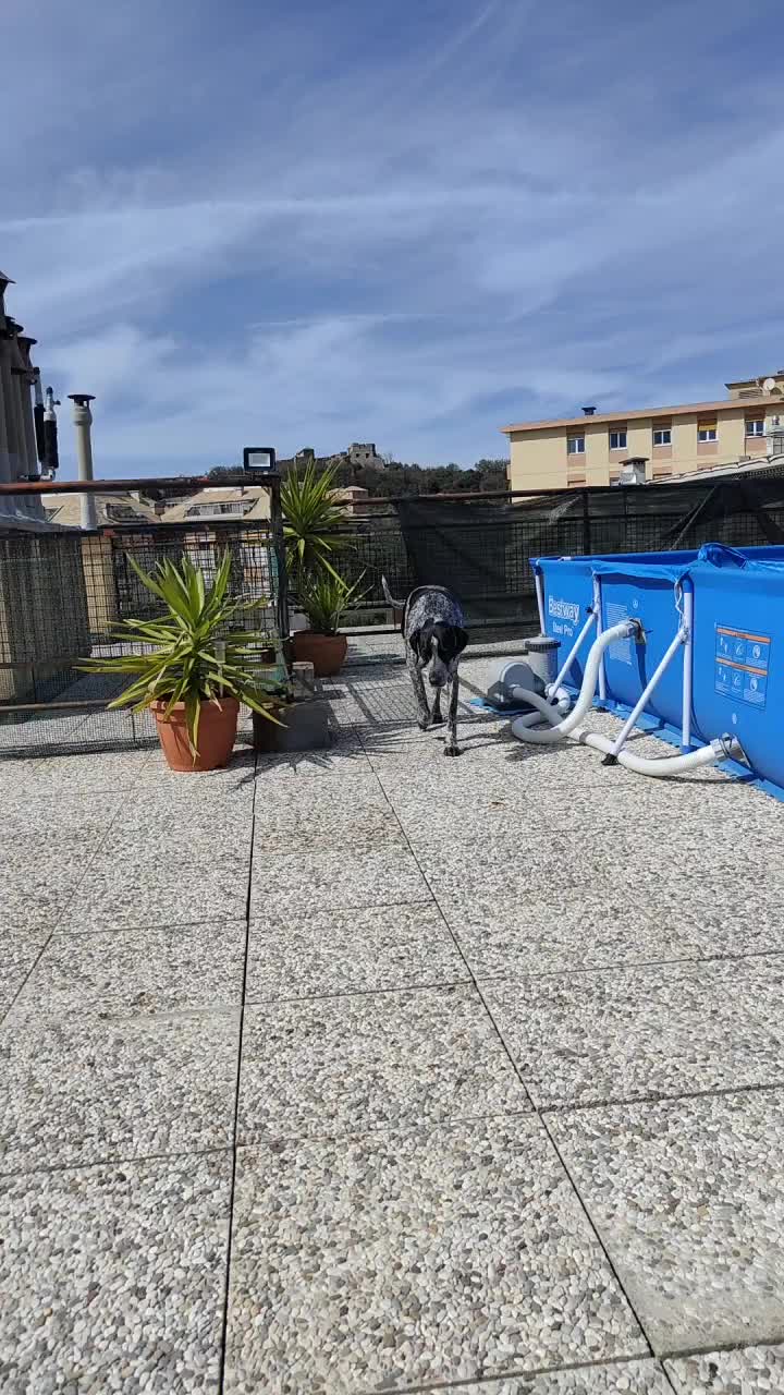 @Marzia Altea