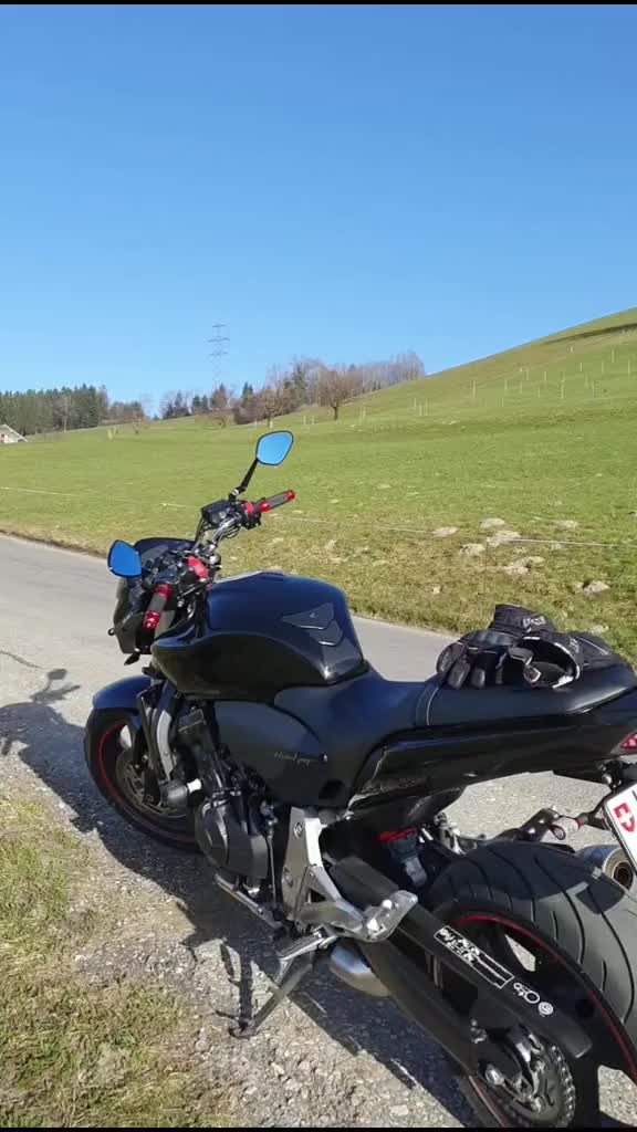@Baghlol81