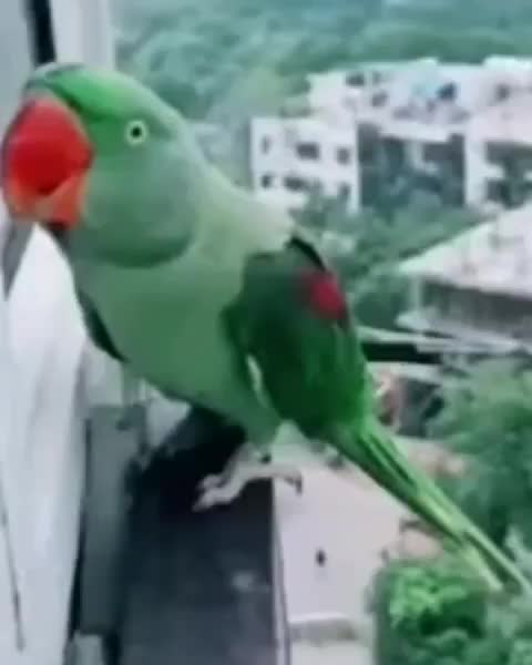 @Manikanta akula