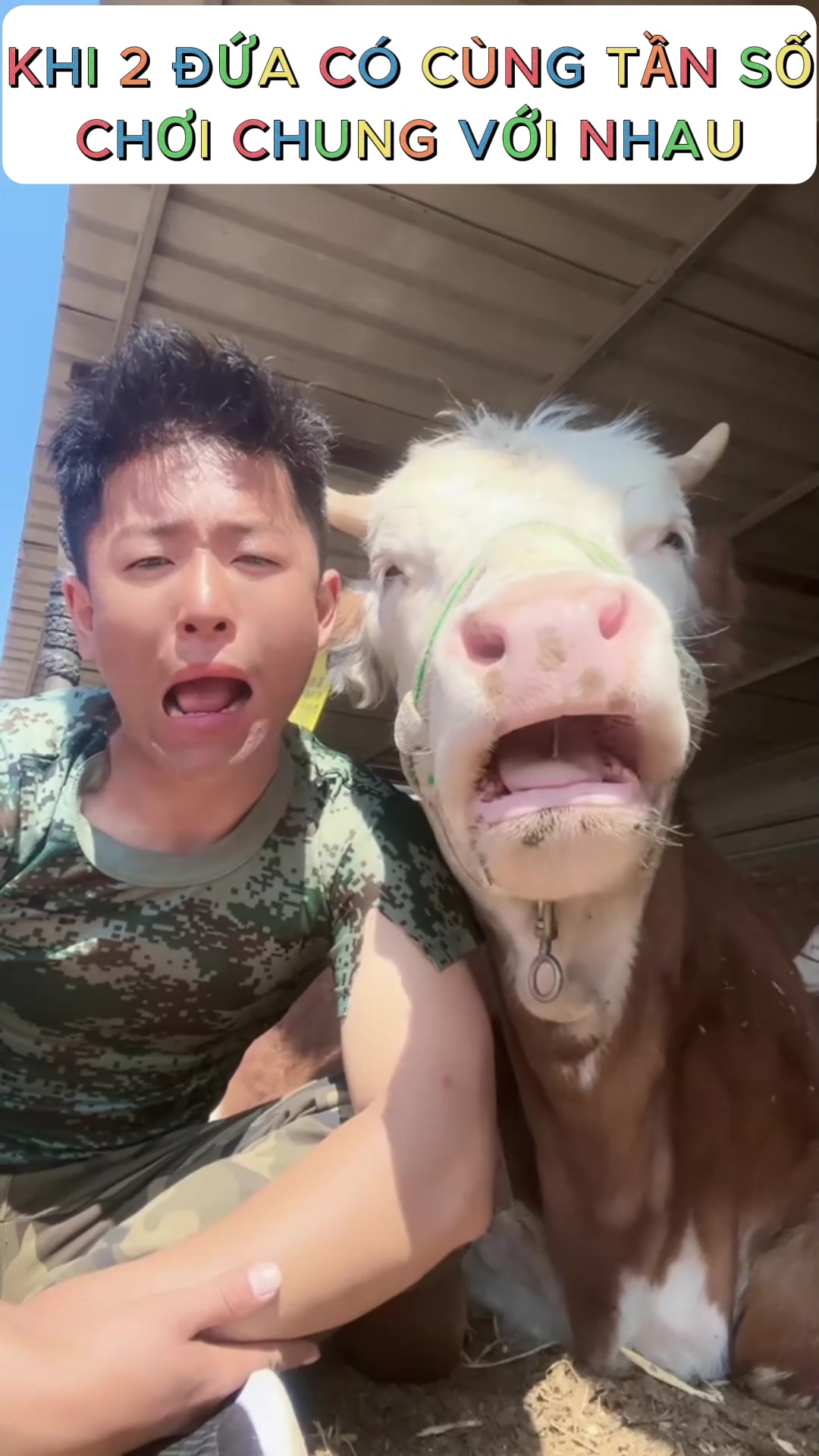 @Yêu thú cưng