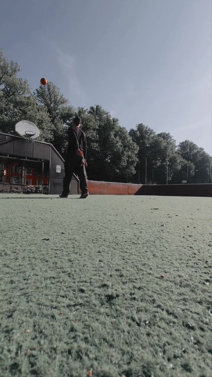 @Treeyflip