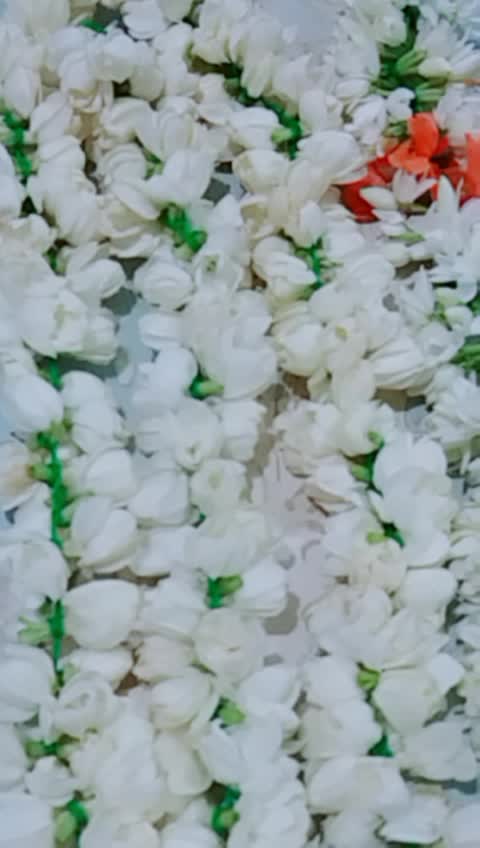 @swarna