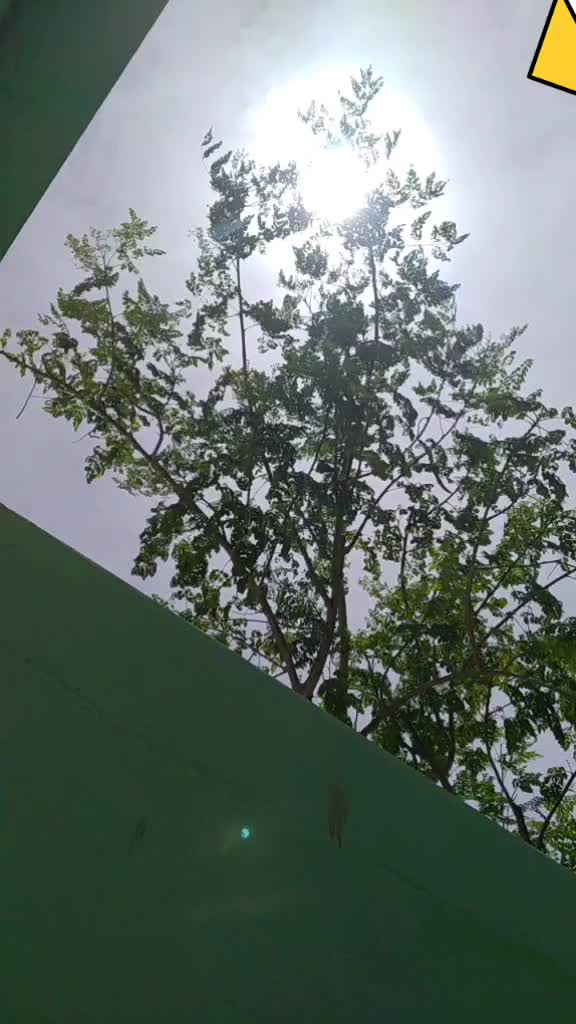 @தாமரைமூர்த்தி