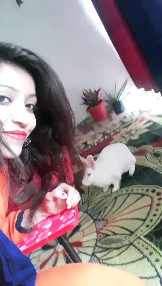 @Aarti Mandloi