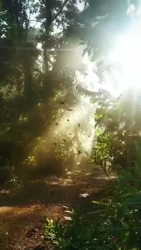 @Dhanu Kudlu