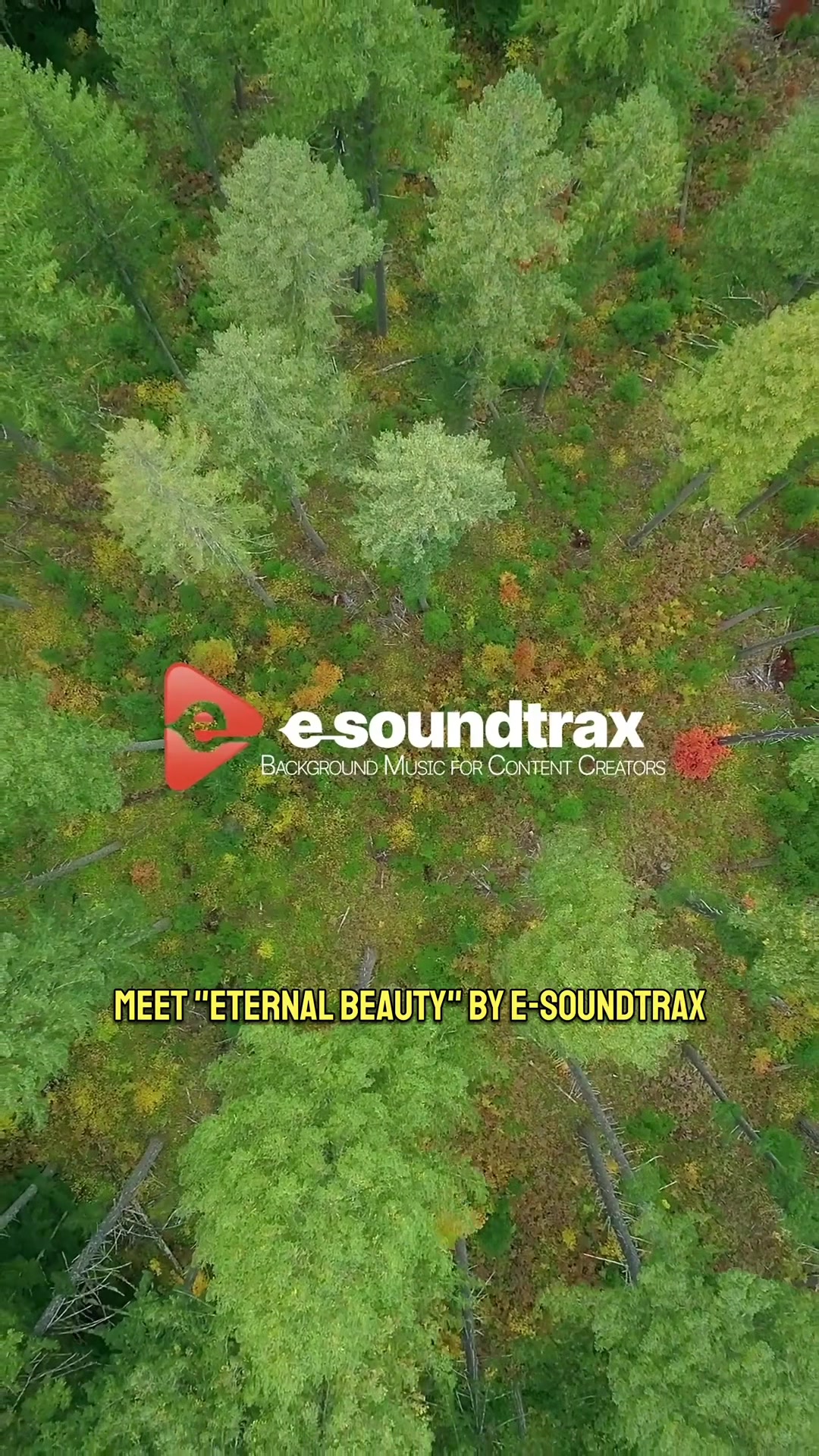 @e-soundtrax