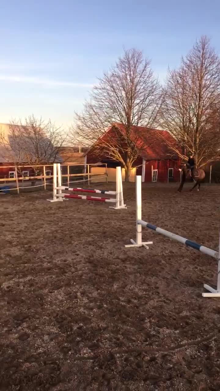@Hästkonto 💓