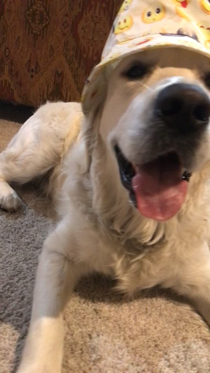 @pierredawg