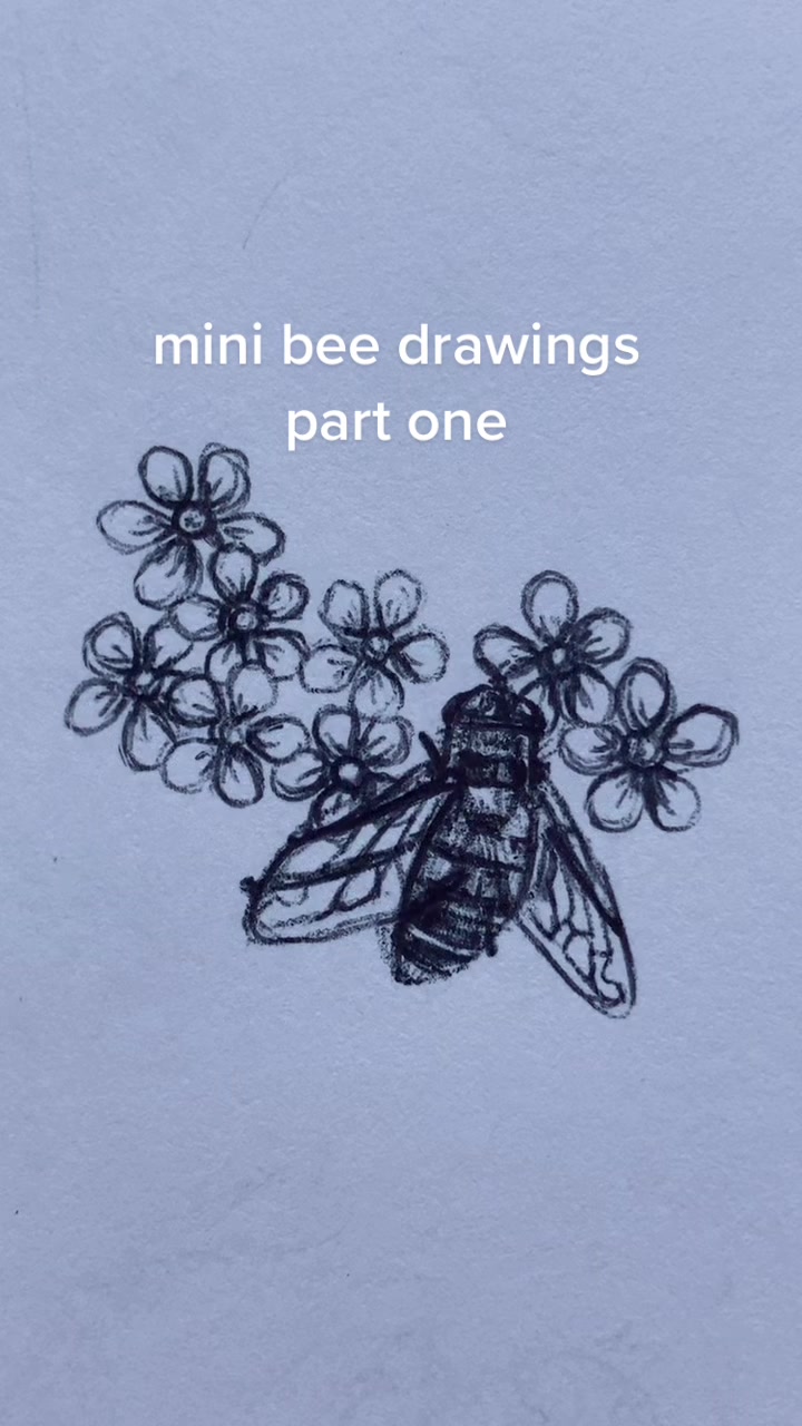 @mira