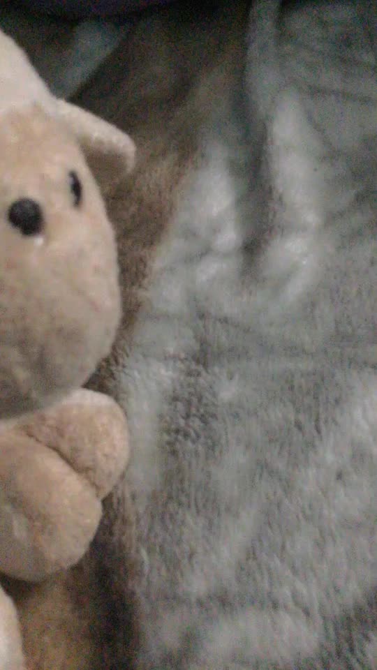 @Plushes/stuffy&rsquo;s