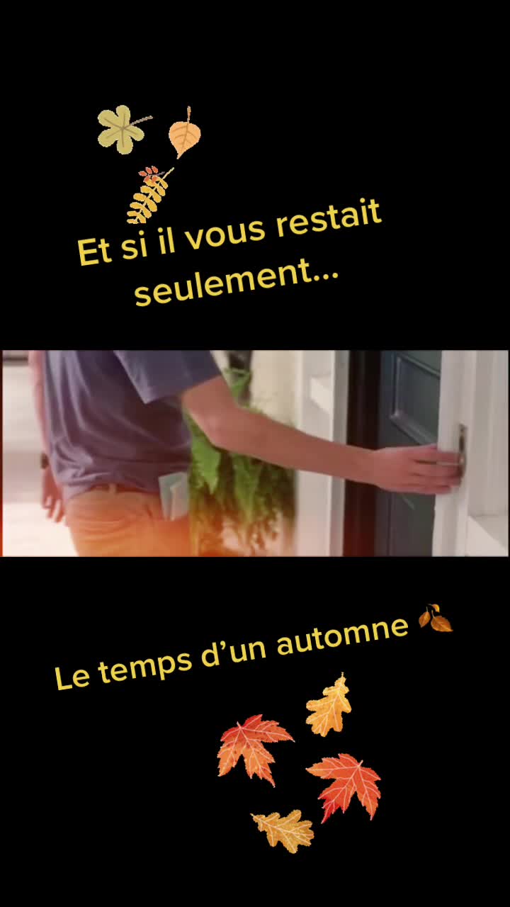 @Renaud Vlm