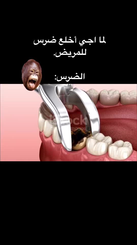 @Dr Ahmed Fattouh