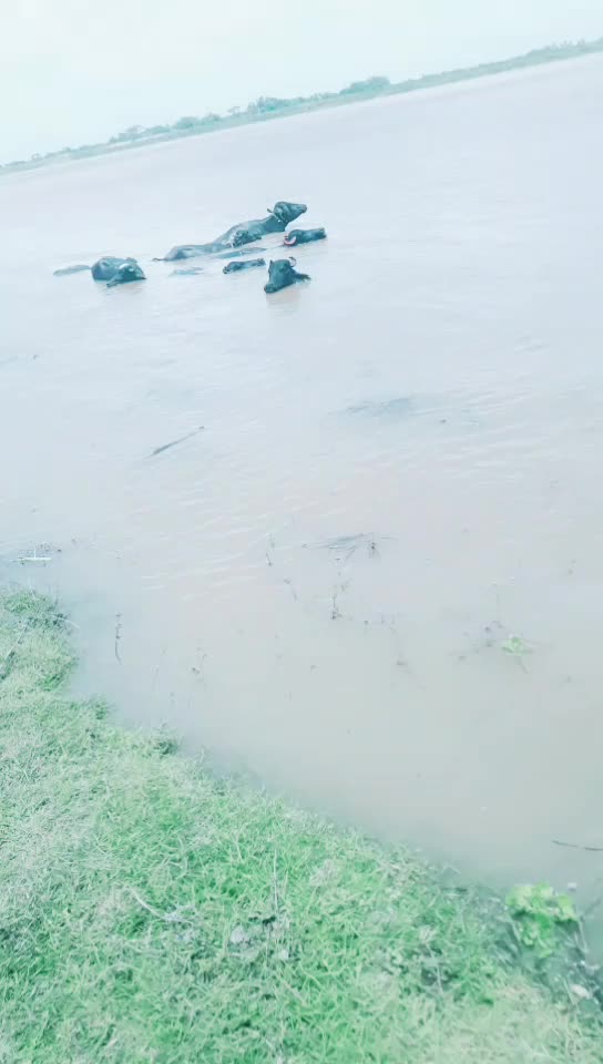 @ରଞନ କୁମାର ପରିଡା