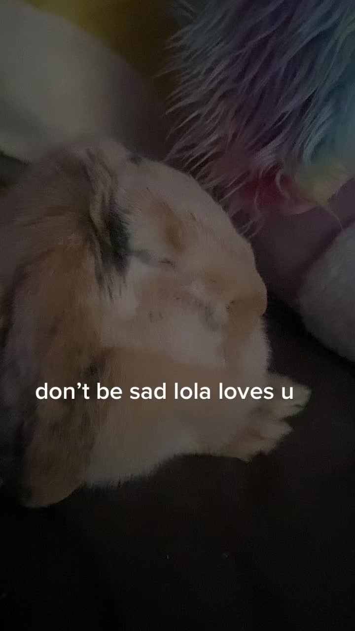 @Eli•