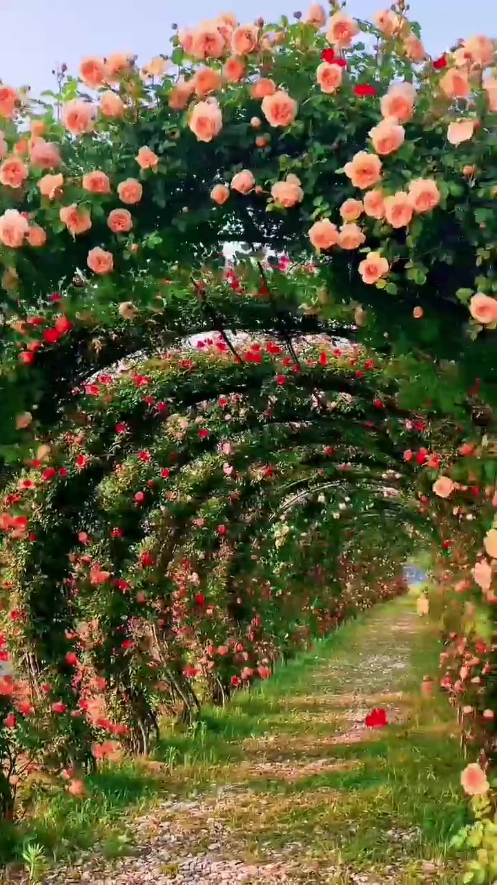 @Natural scenery
