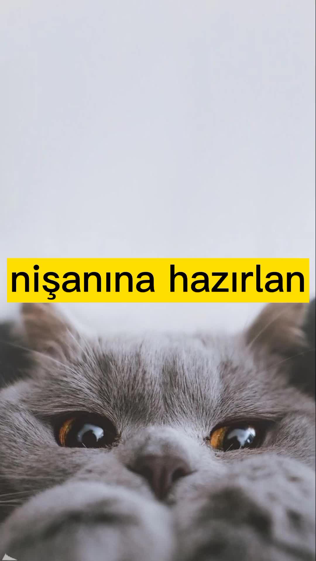 @kombinini hazırla
