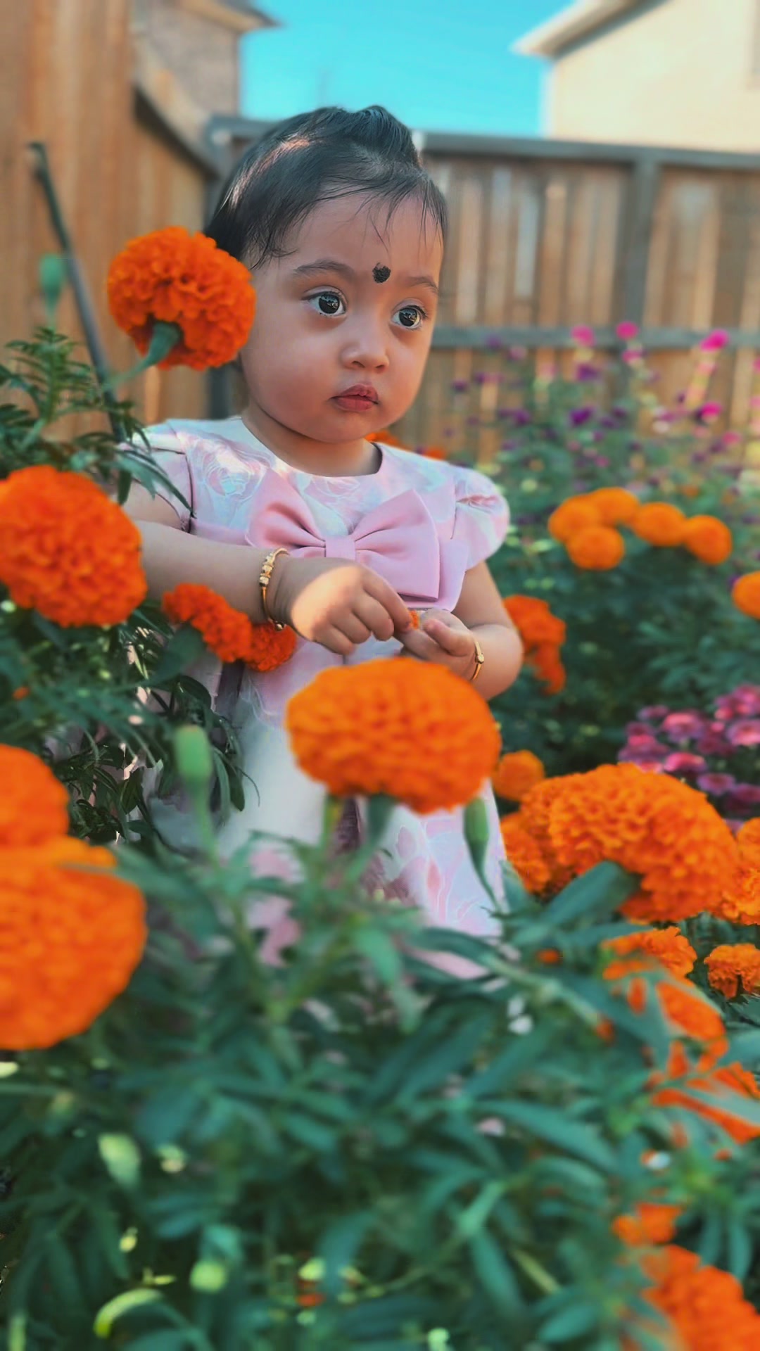 @Aavya & Avas