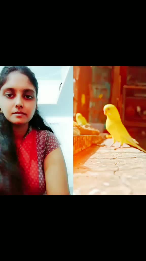 @hasini santhoshi
