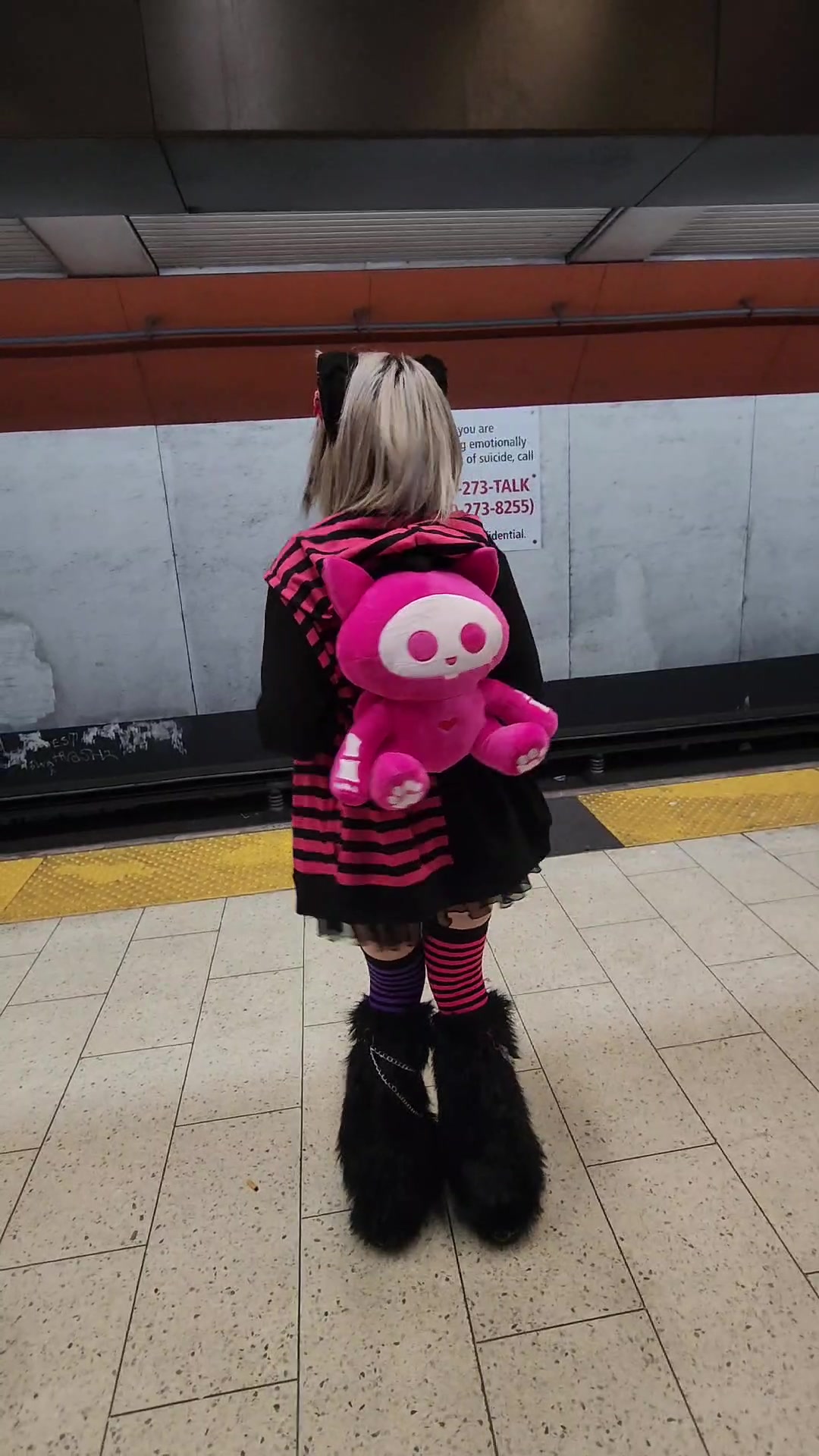 @♡kittie♡