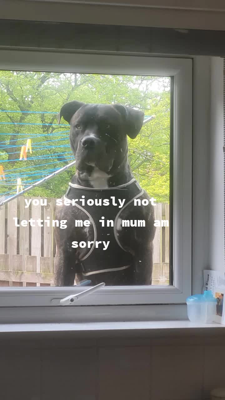 @Baby Duke