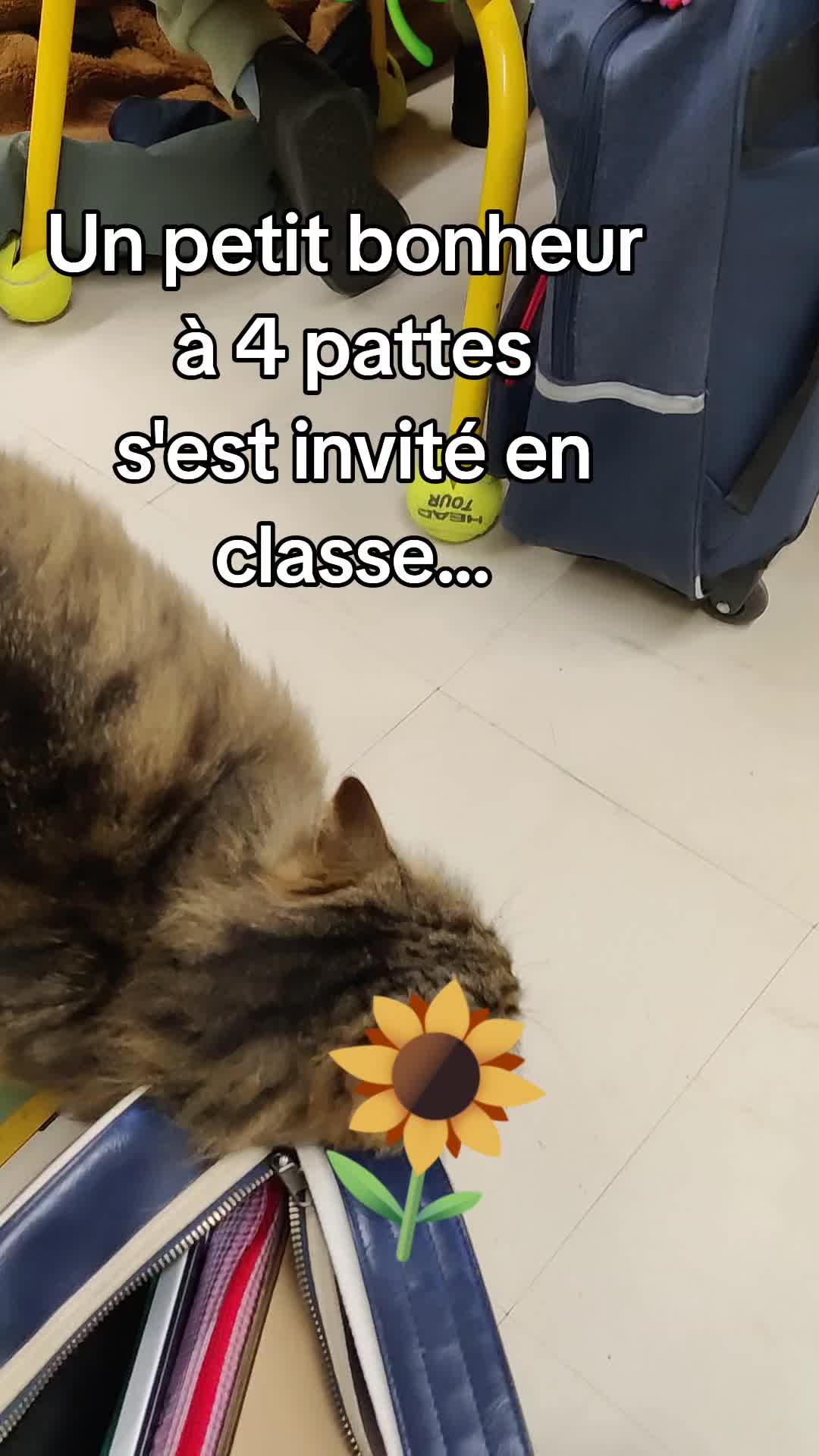 @Jeux soutiens