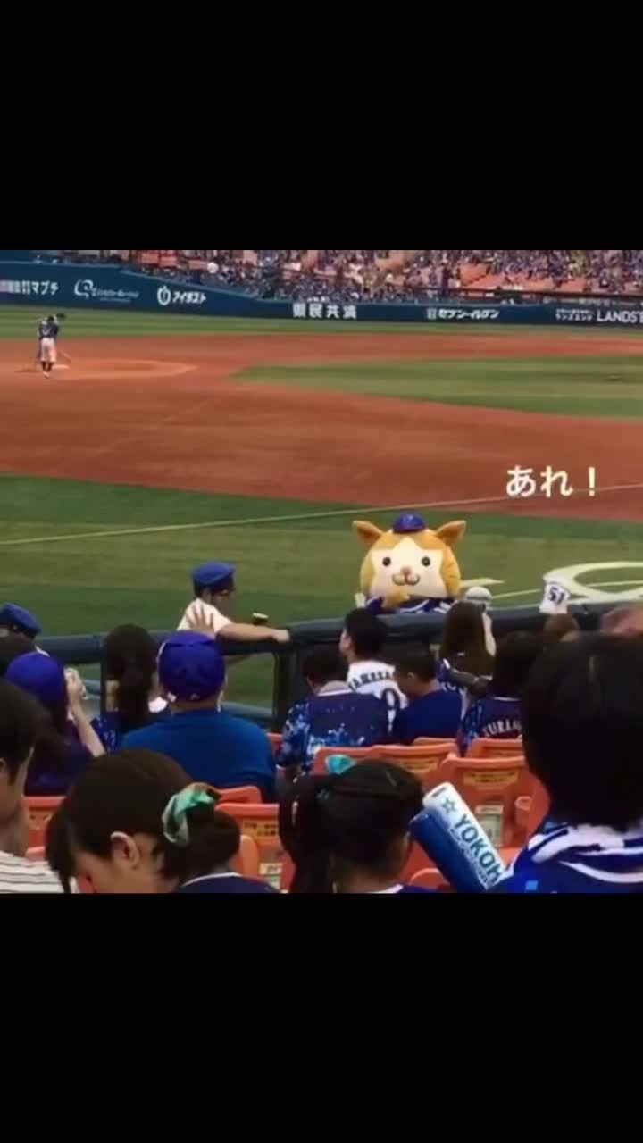 @井上邦洋たぬき🐻💖