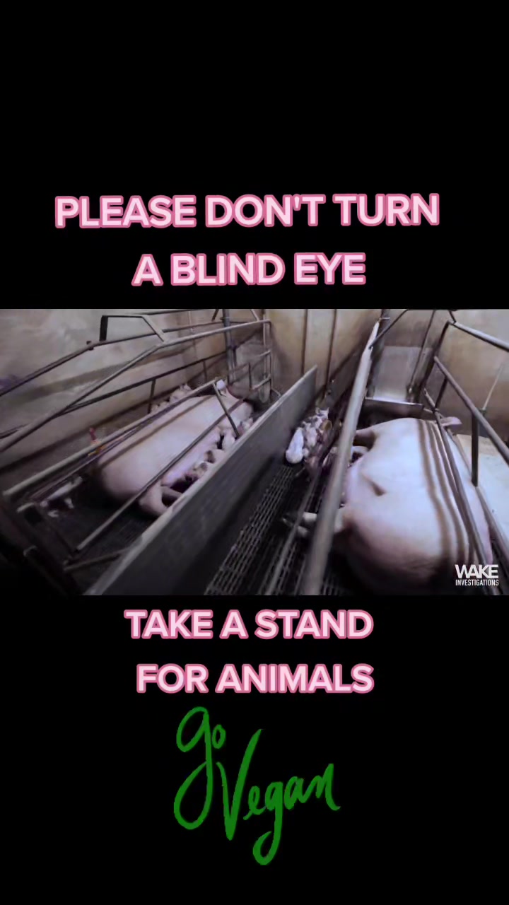 @BLIND2ABUSE