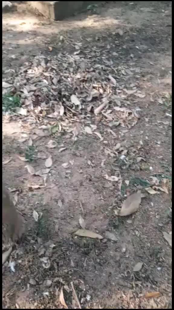 @abhijith.ms8
