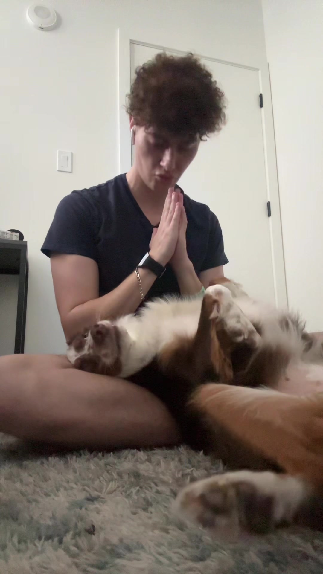 @ShushuTravels