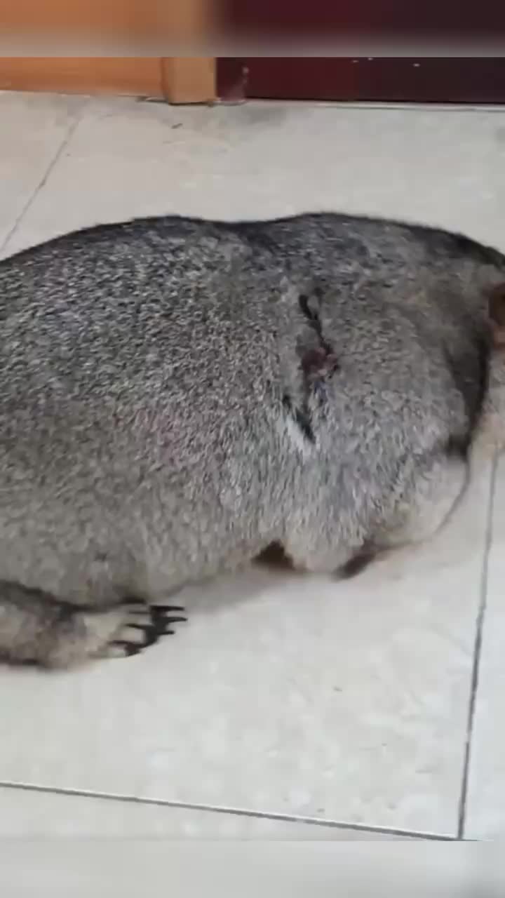 @zhaogcxy20160317