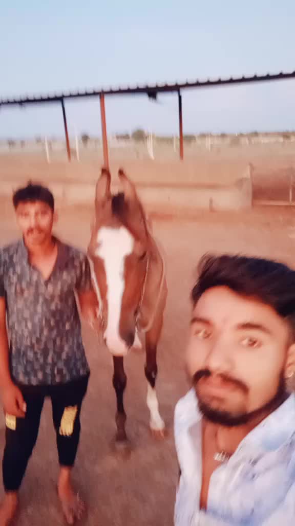 @Mojilo.MalDhari