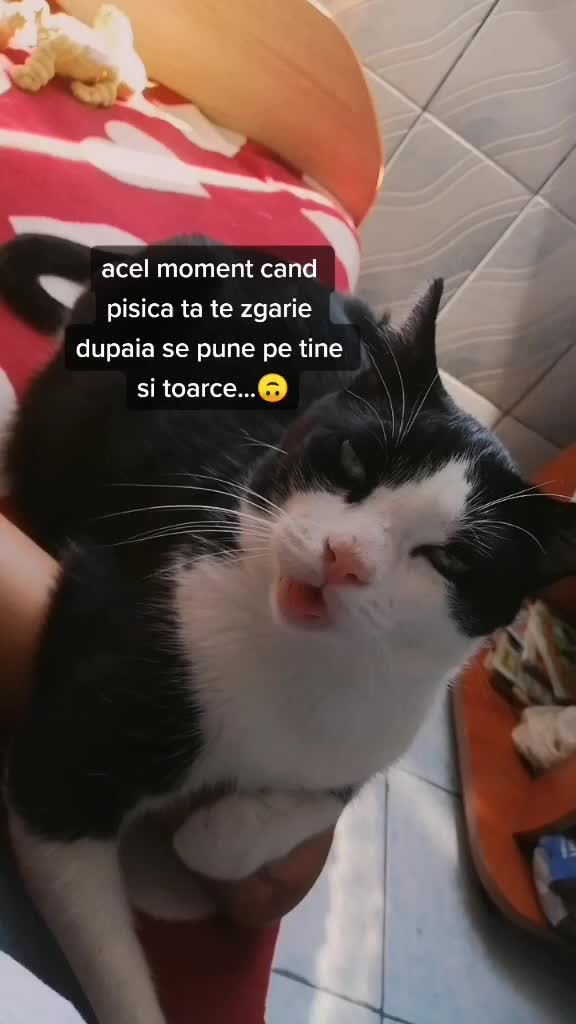 @PATEU VEZI CA AI TUPEUU😉🤫😌