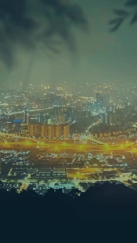 @꧁꫞Trinh Nguyễn꫞꧂