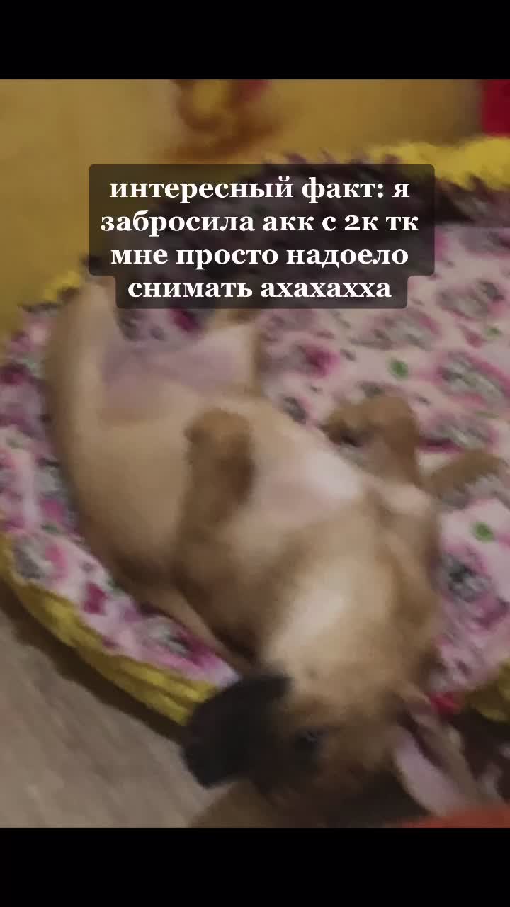 @Ок
