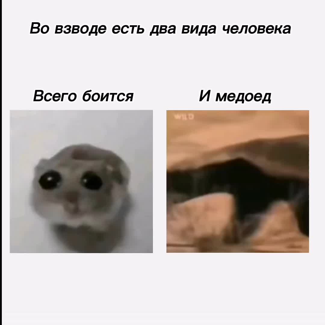 @Фюрер_В_Танке