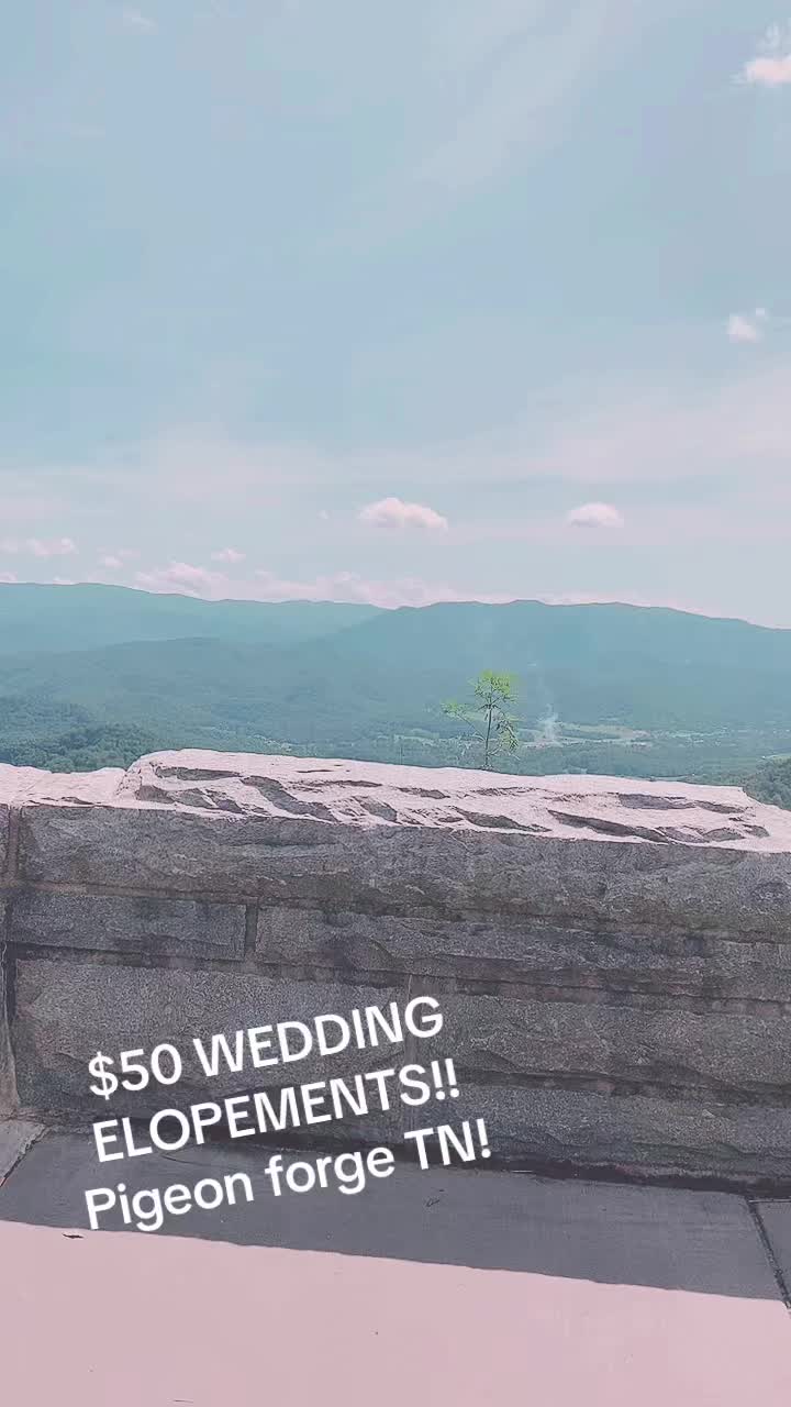 @Thatcameragirl
