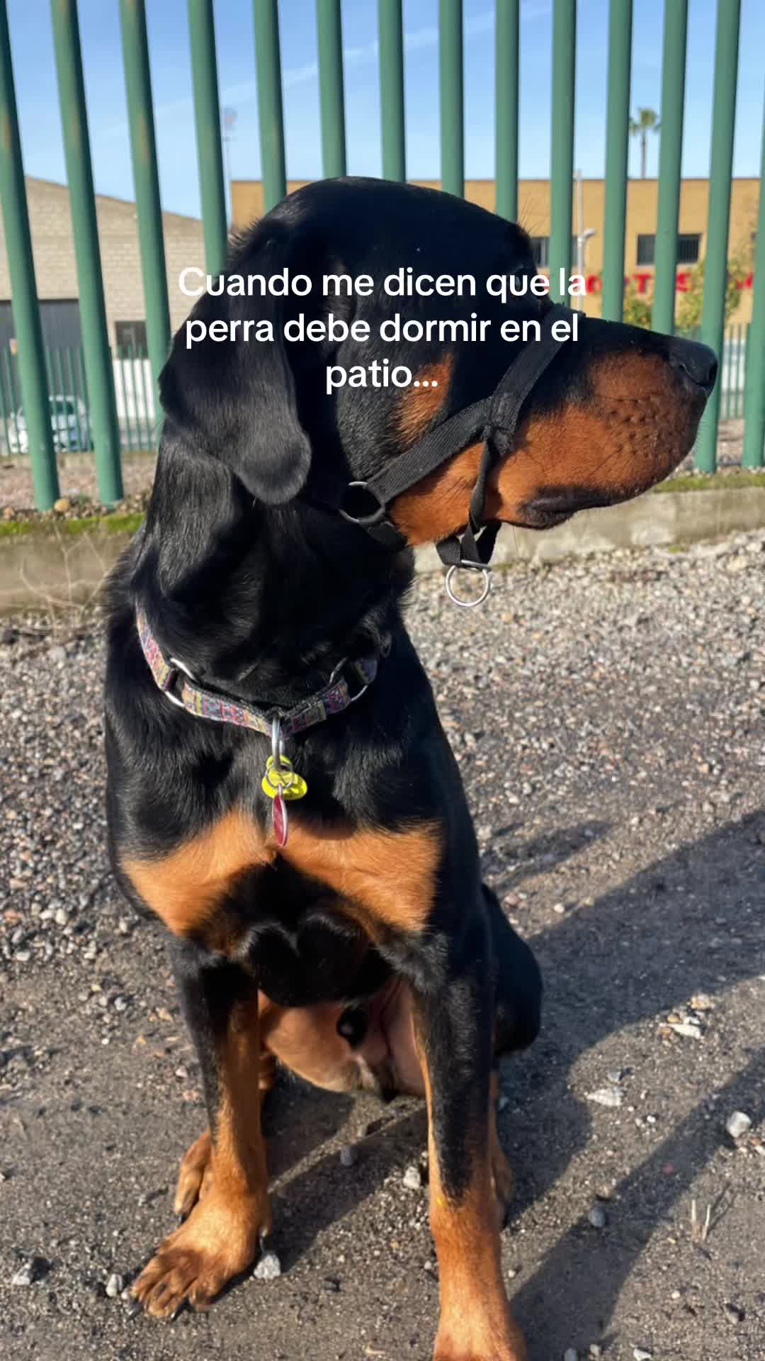 @Anubis y compañía