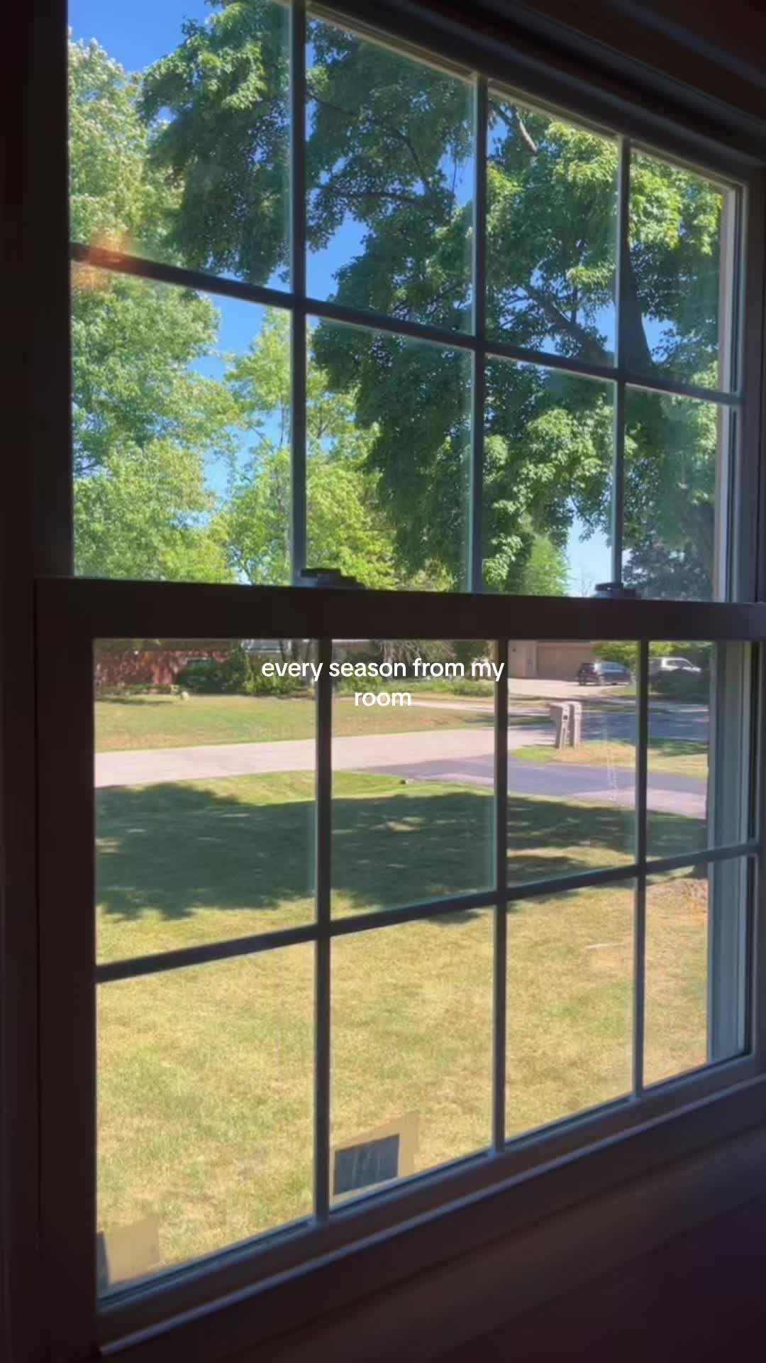 @lilia🌷